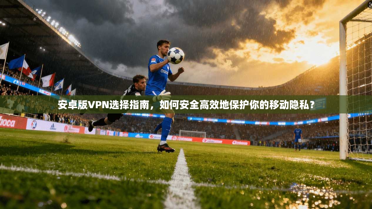 安卓版VPN选择指南，如何安全高效地保护你的移动隐私？
