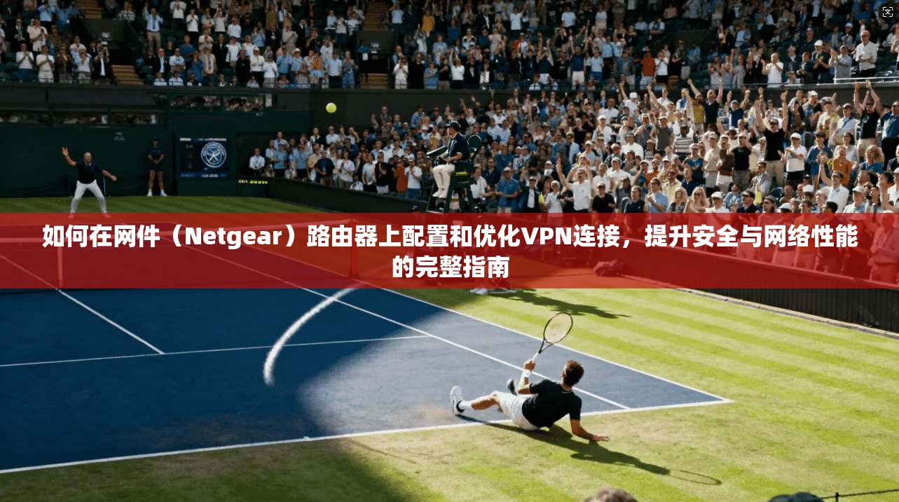 如何在网件（Netgear）路由器上配置和优化VPN连接，提升安全与网络性能的完整指南