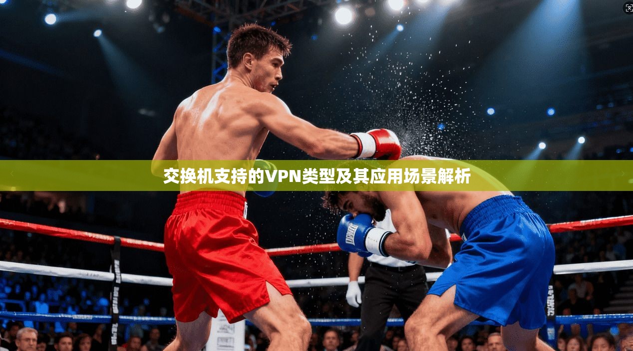 交换机支持的VPN类型及其应用场景解析