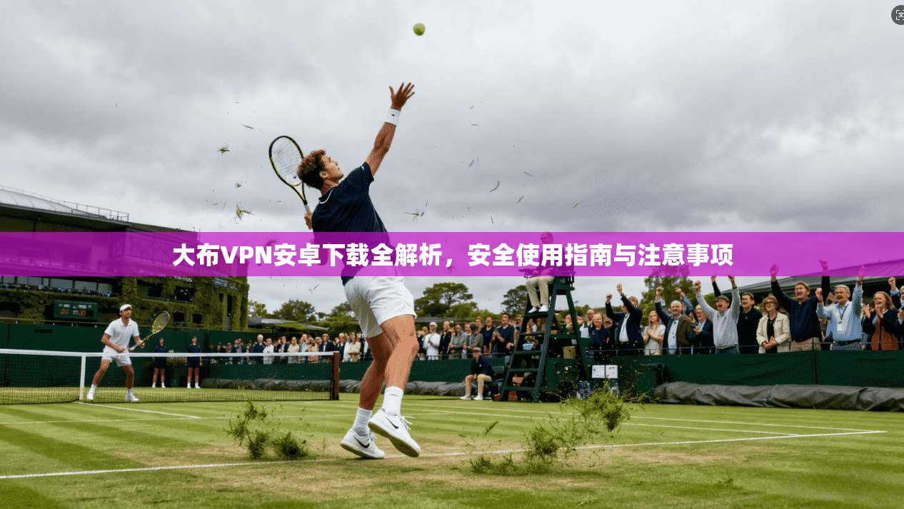 大布VPN安卓下载全解析，安全使用指南与注意事项