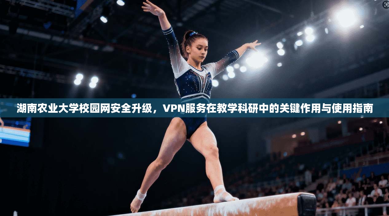 湖南农业大学校园网安全升级，VPN服务在教学科研中的关键作用与使用指南