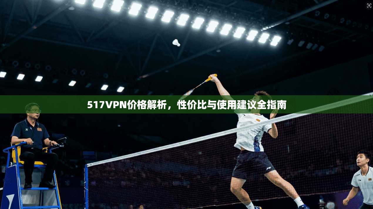 517VPN价格解析，性价比与使用建议全指南