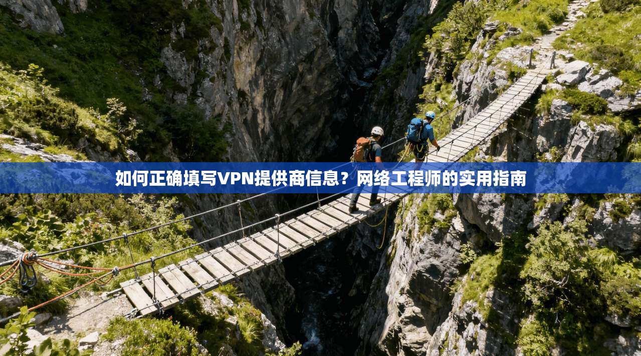 如何正确填写VPN提供商信息？网络工程师的实用指南