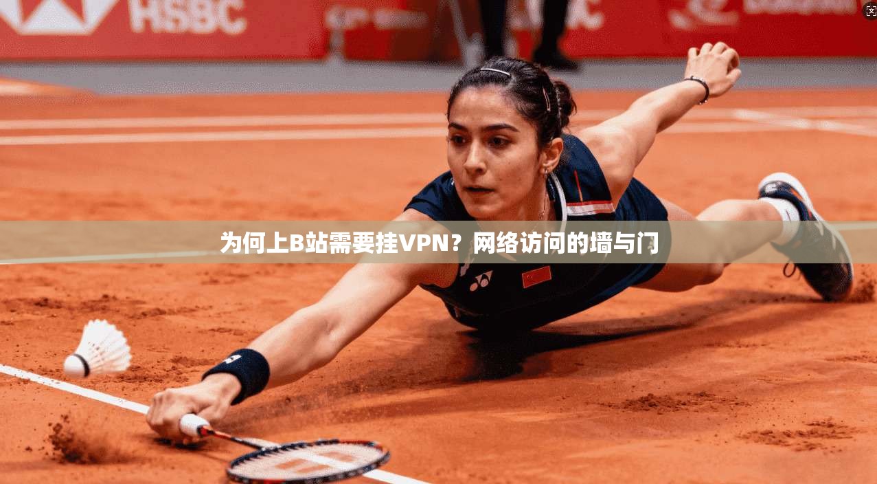 为何上B站需要挂VPN？网络访问的墙与门