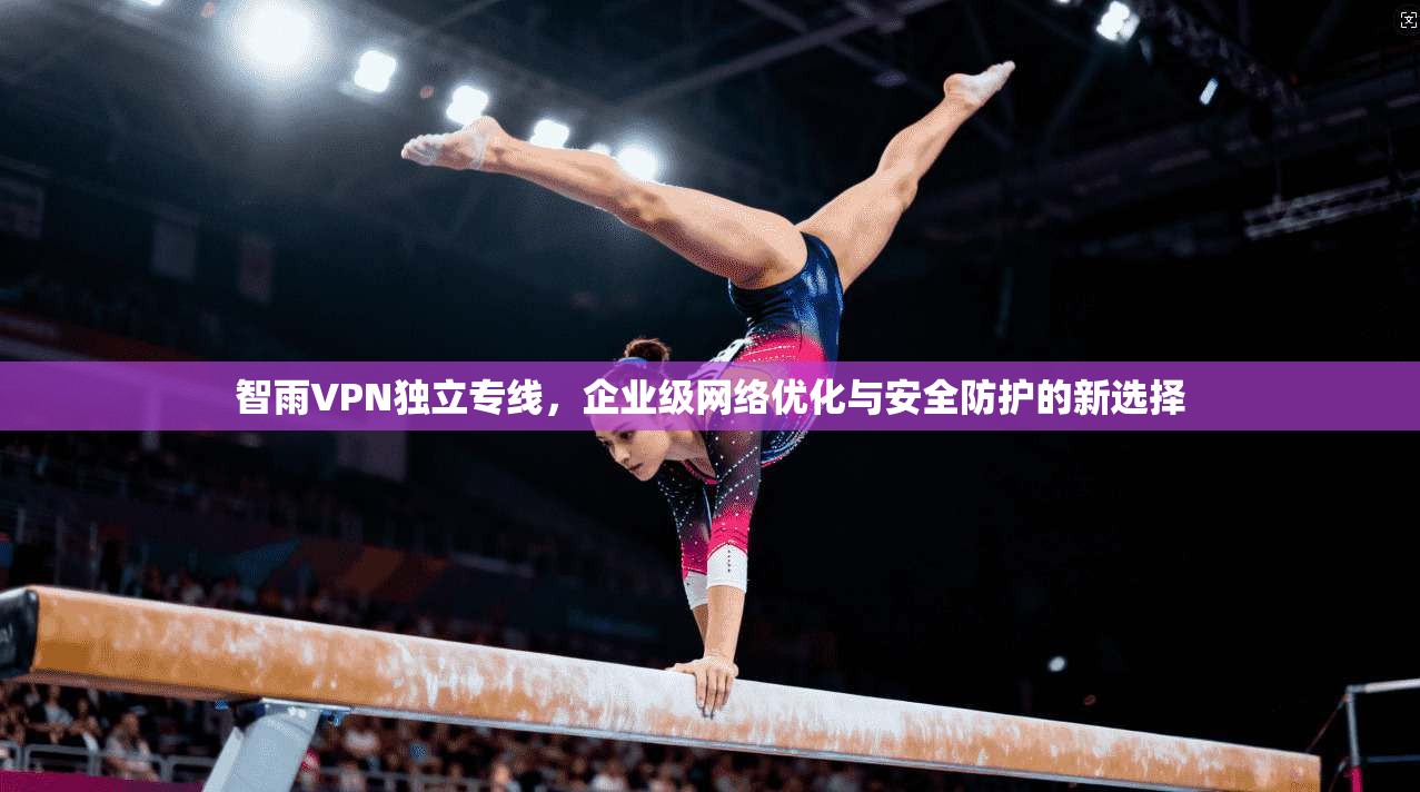 智雨VPN独立专线，企业级网络优化与安全防护的新选择