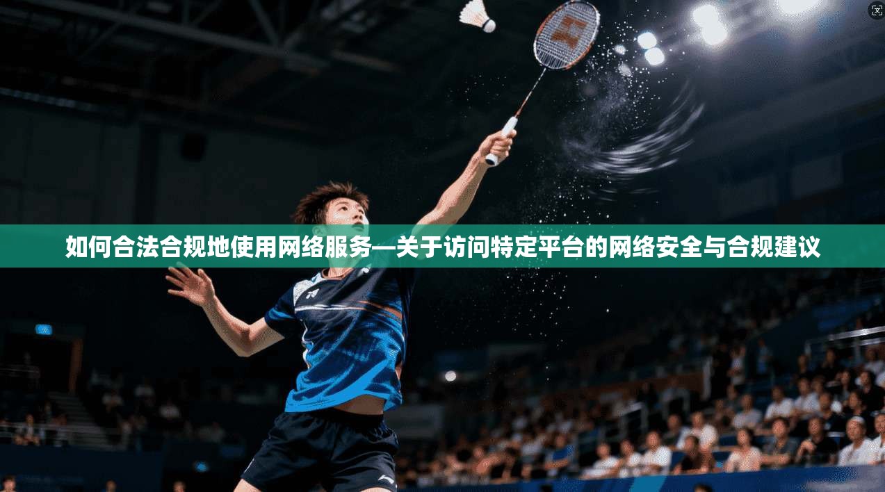 如何合法合规地使用网络服务—关于访问特定平台的网络安全与合规建议