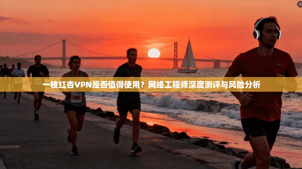 一枝红杏VPN是否值得使用？网络工程师深度测评与风险分析