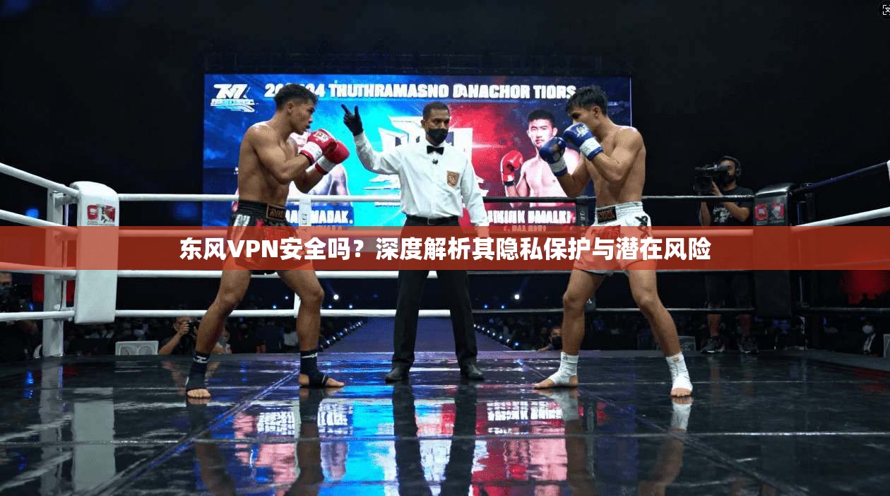 东风VPN安全吗？深度解析其隐私保护与潜在风险