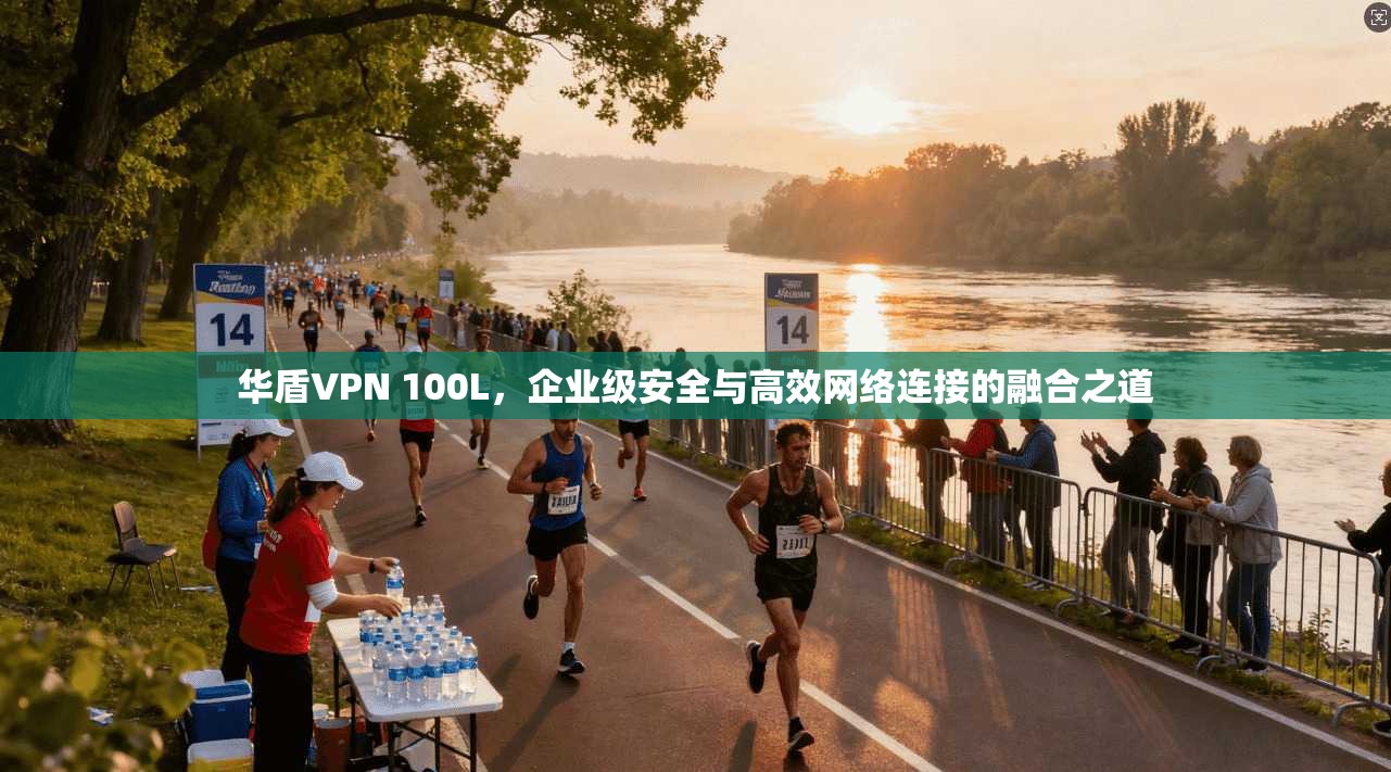 华盾VPN 100L，企业级安全与高效网络连接的融合之道
