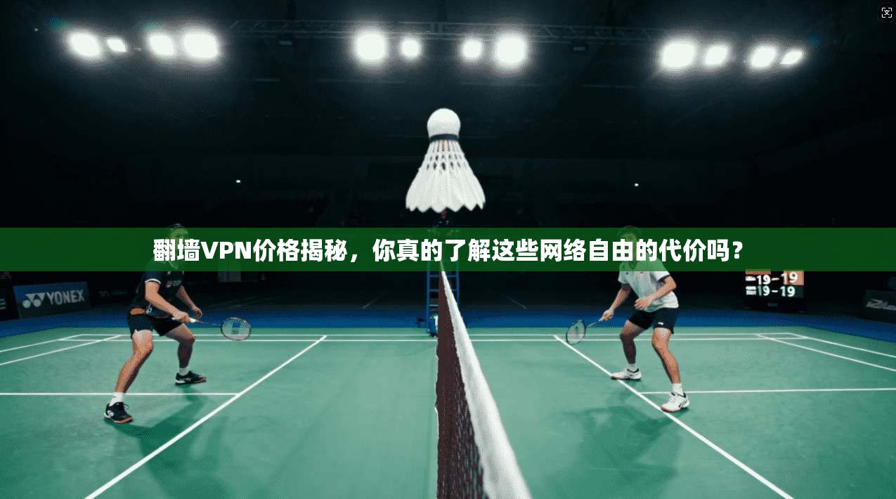 翻墙VPN价格揭秘，你真的了解这些网络自由的代价吗？