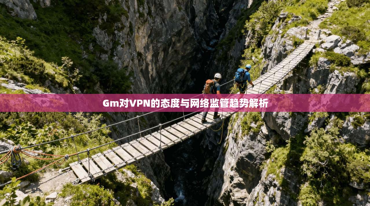 Gm对VPN的态度与网络监管趋势解析
