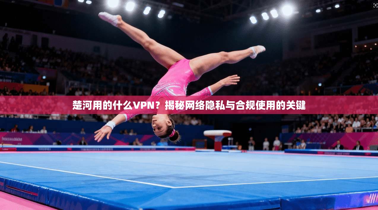 楚河用的什么VPN？揭秘网络隐私与合规使用的关键