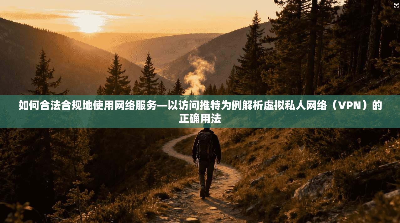 如何合法合规地使用网络服务—以访问推特为例解析虚拟私人网络（VPN）的正确用法