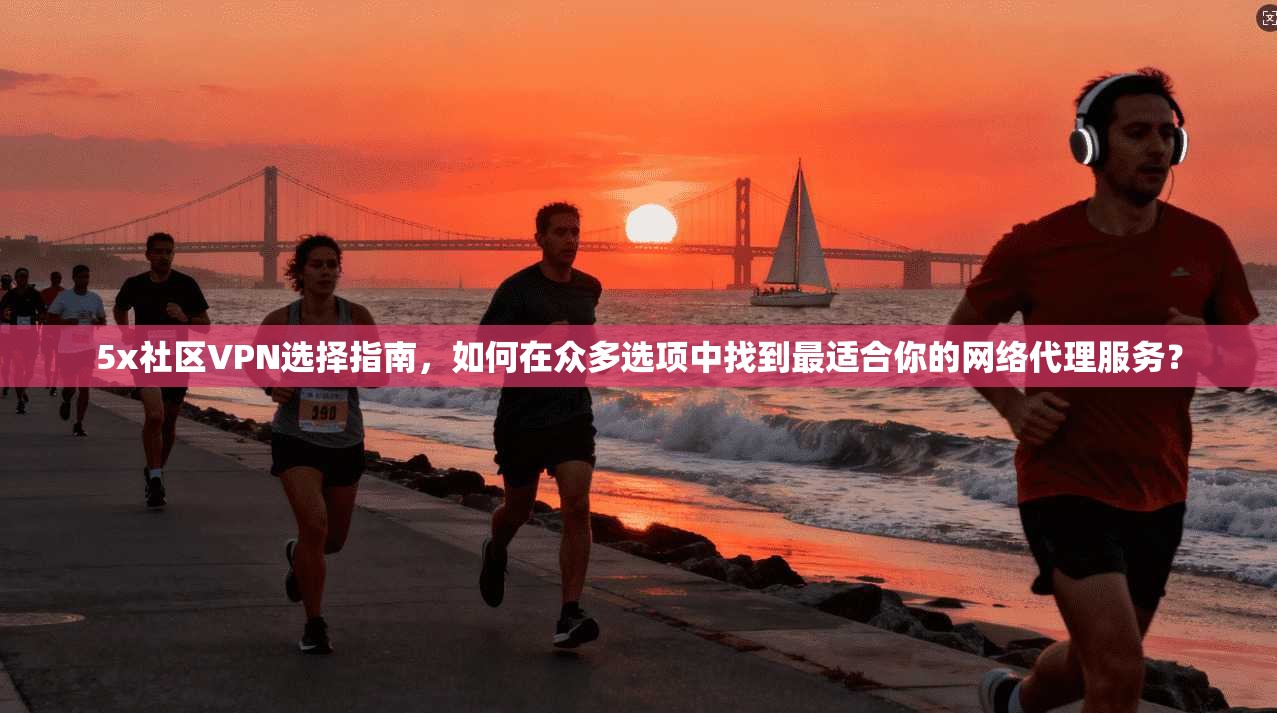 5x社区VPN选择指南，如何在众多选项中找到最适合你的网络代理服务？