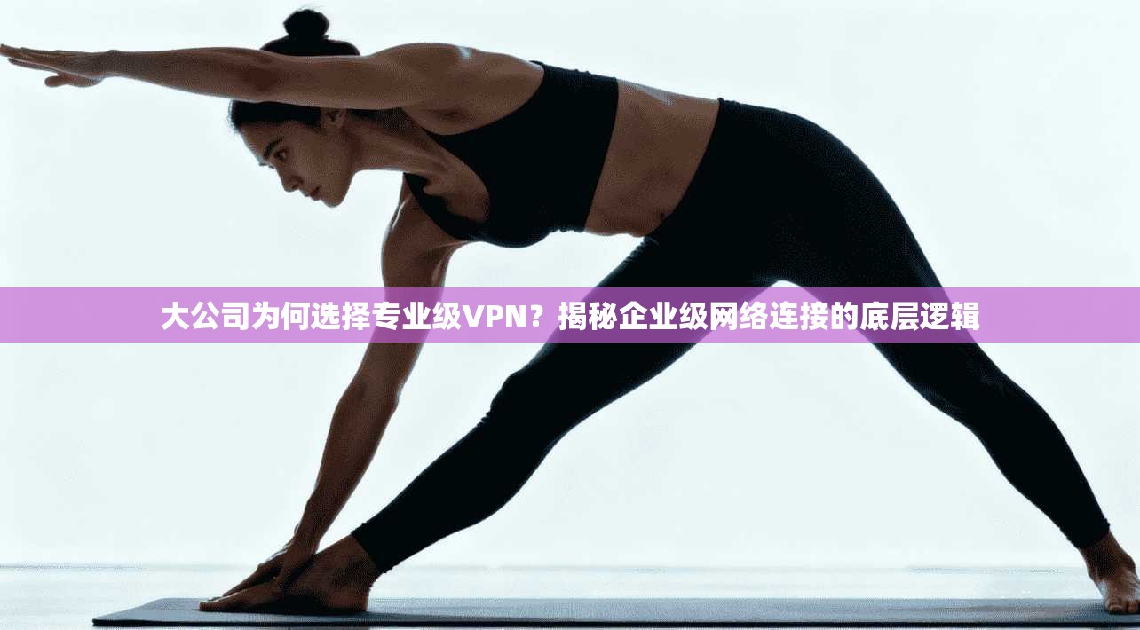 大公司为何选择专业级VPN？揭秘企业级网络连接的底层逻辑