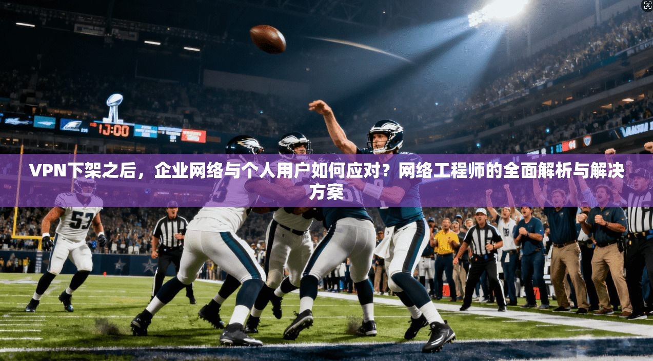 VPN下架之后，企业网络与个人用户如何应对？网络工程师的全面解析与解决方案