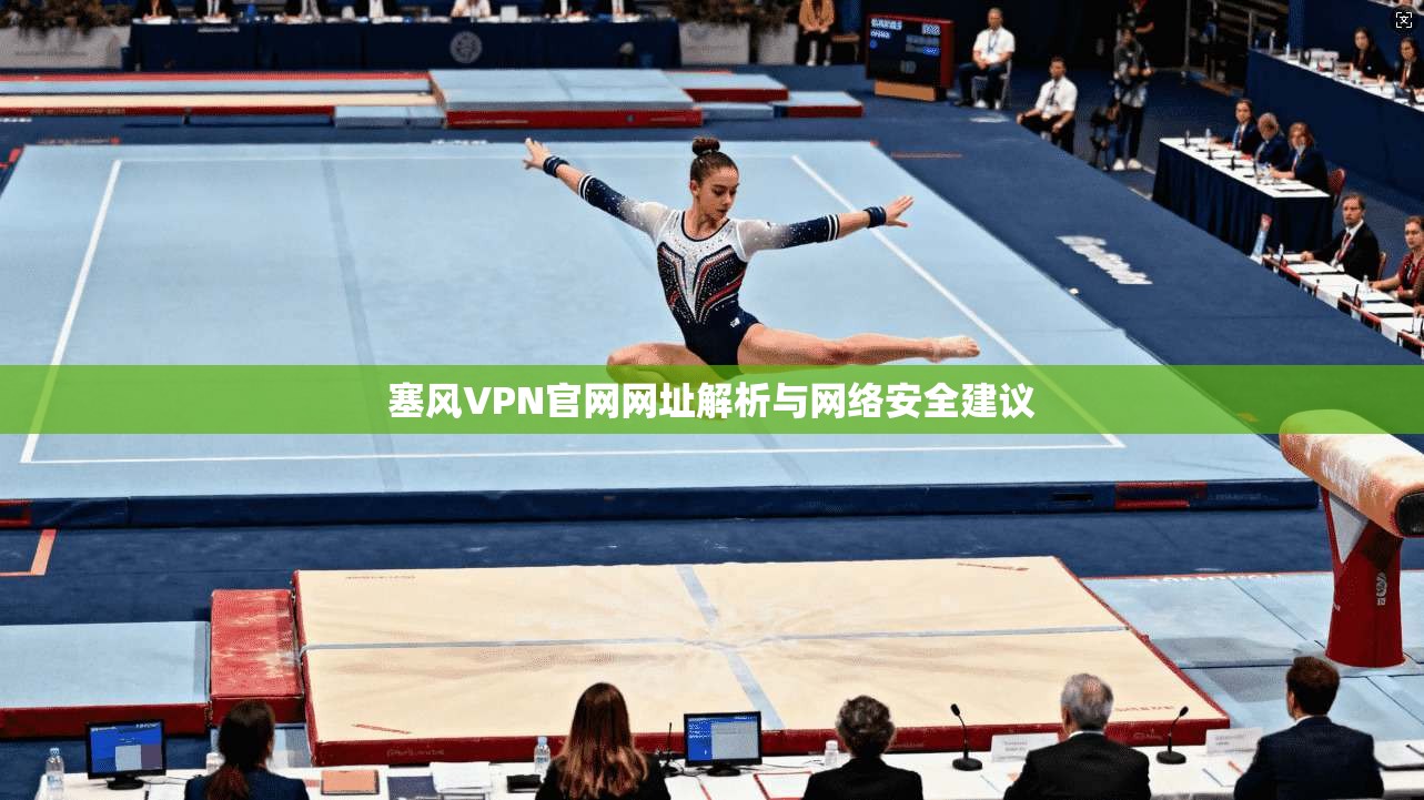 塞风VPN官网网址解析与网络安全建议