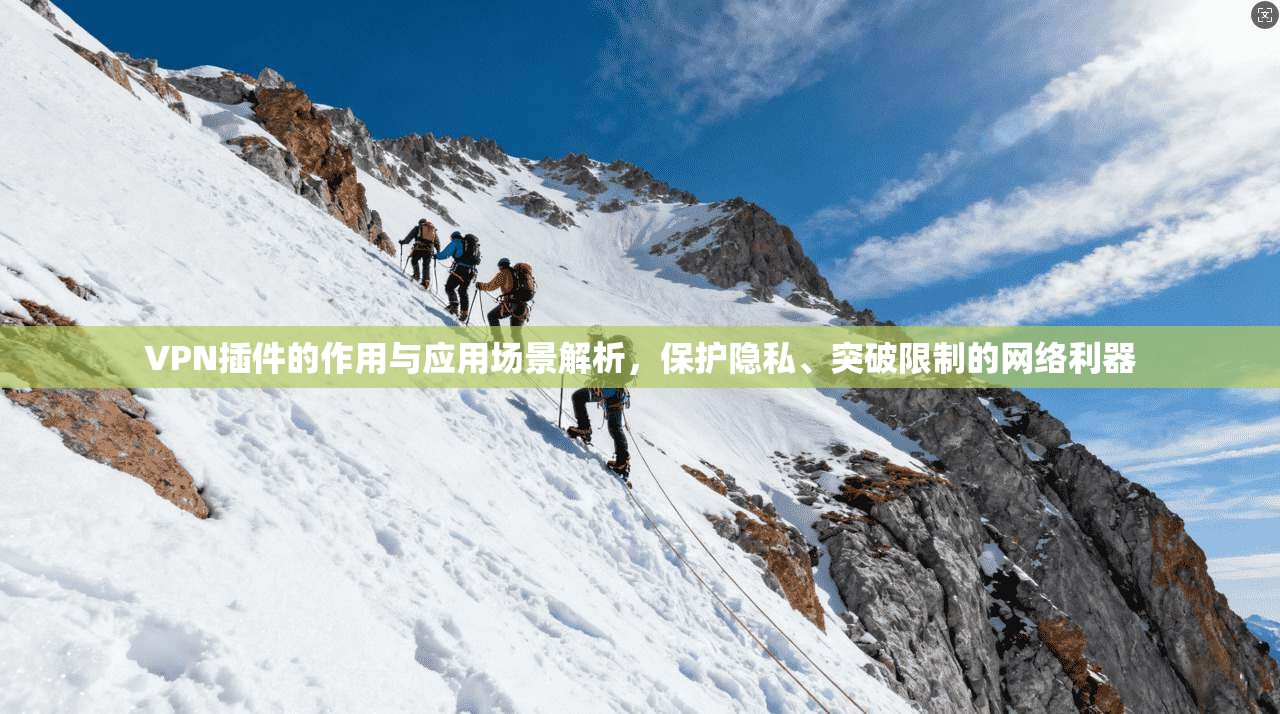 VPN插件的作用与应用场景解析，保护隐私、突破限制的网络利器