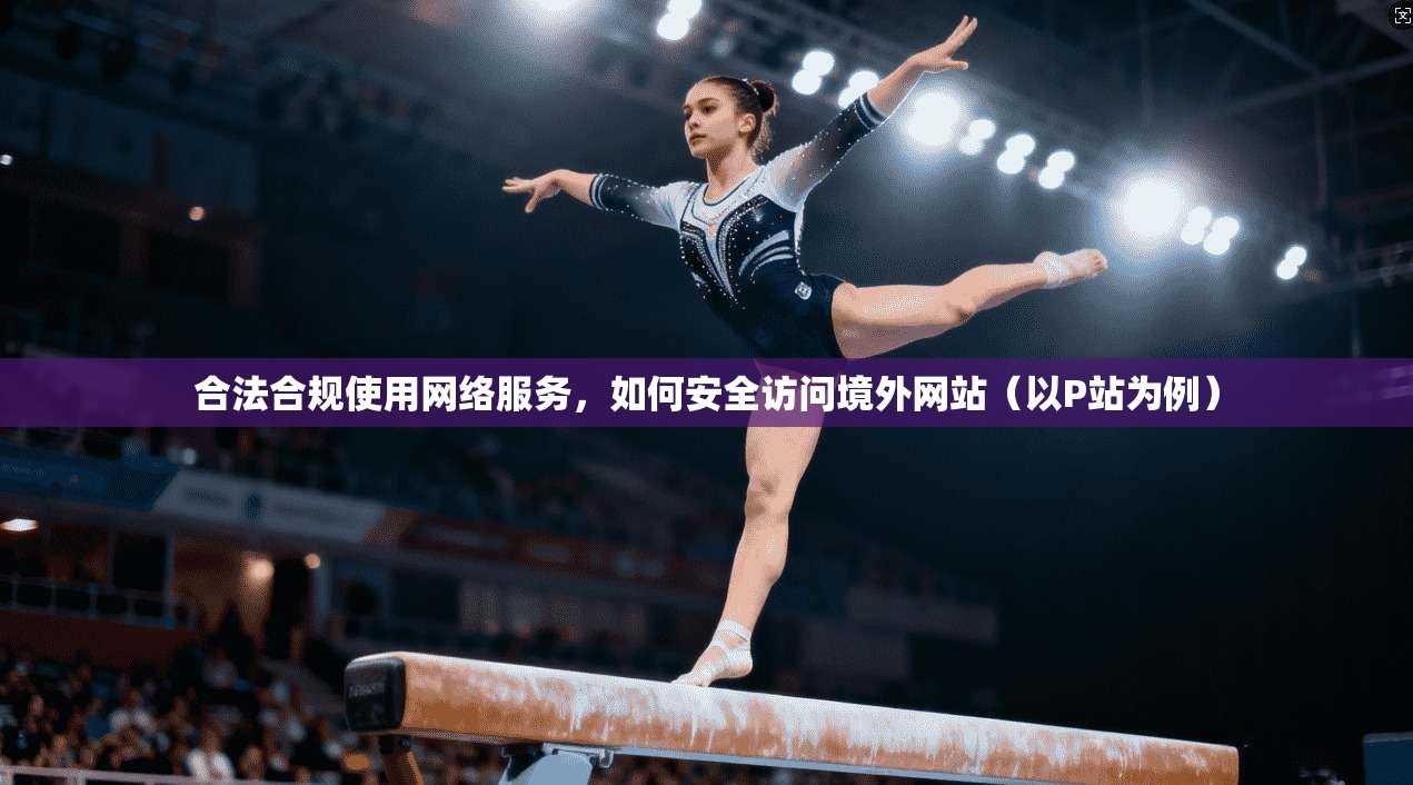 合法合规使用网络服务，如何安全访问境外网站（以P站为例）