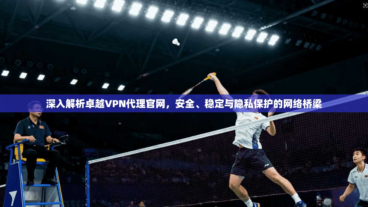 深入解析卓越VPN代理官网，安全、稳定与隐私保护的网络桥梁