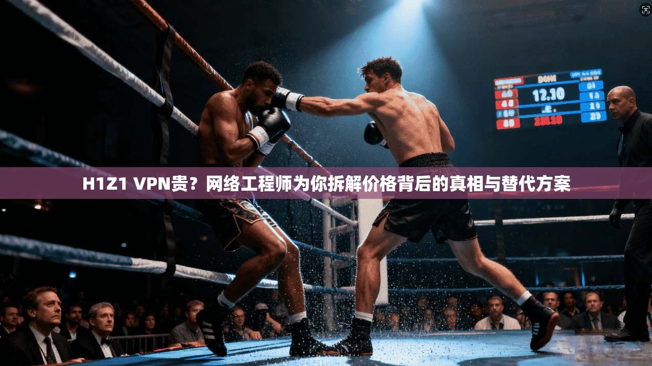 H1Z1 VPN贵？网络工程师为你拆解价格背后的真相与替代方案