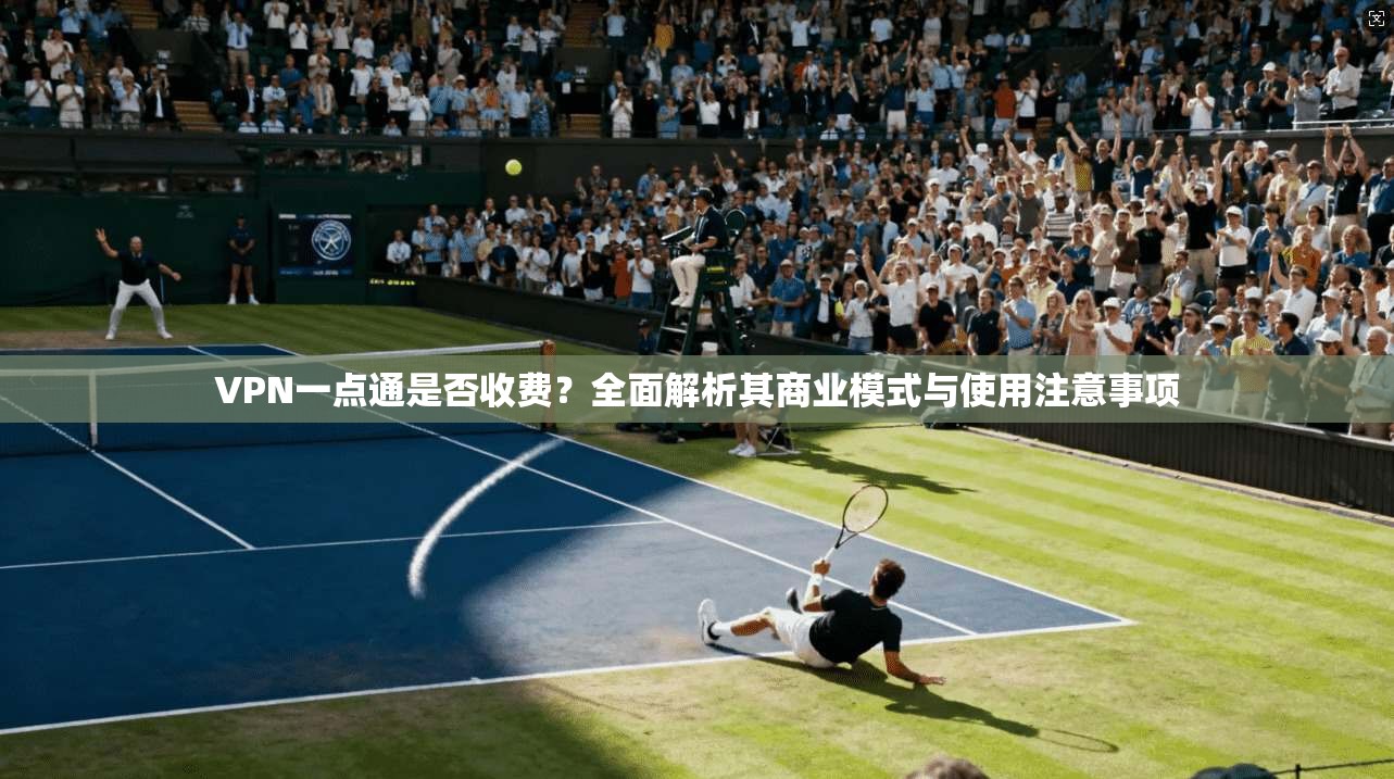 VPN一点通是否收费？全面解析其商业模式与使用注意事项