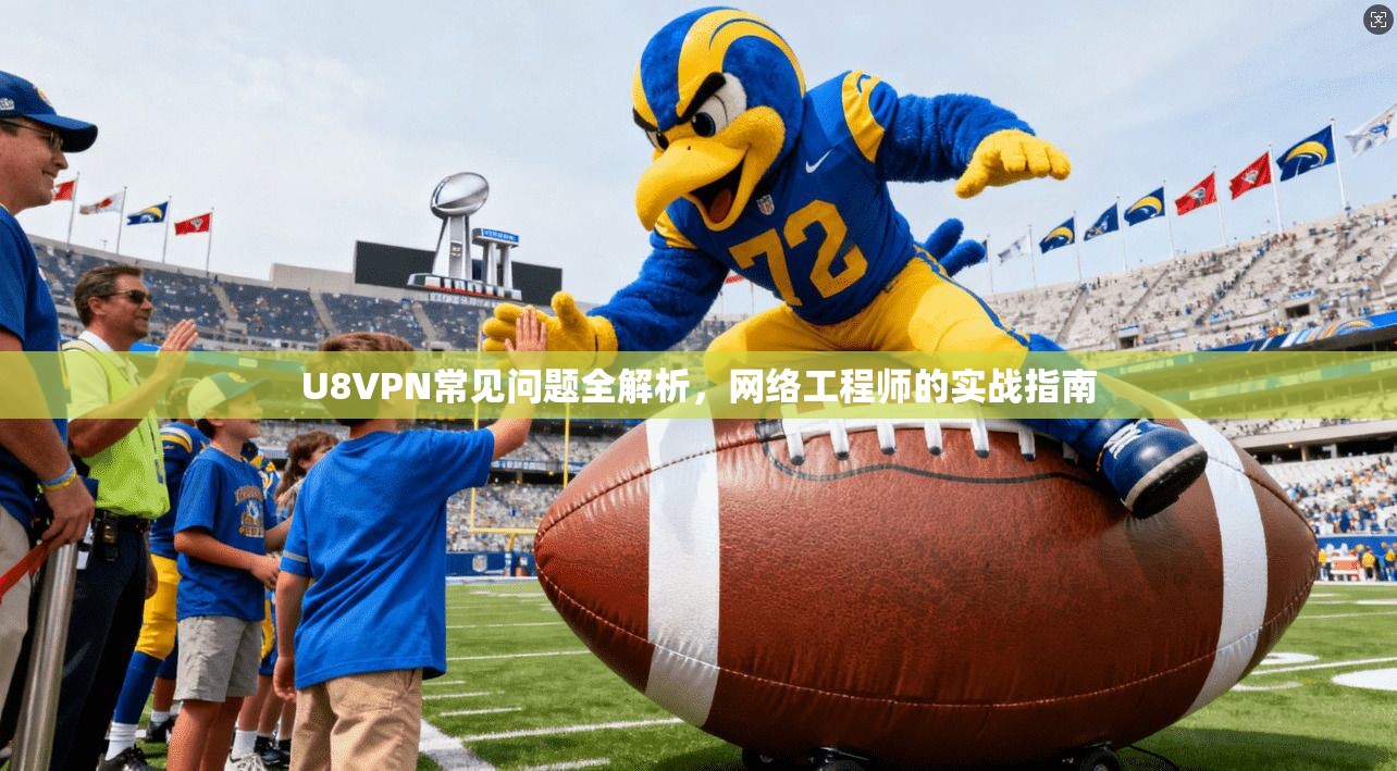U8VPN常见问题全解析，网络工程师的实战指南