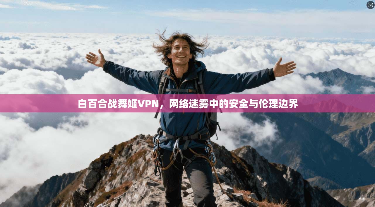 白百合战舞姬VPN，网络迷雾中的安全与伦理边界