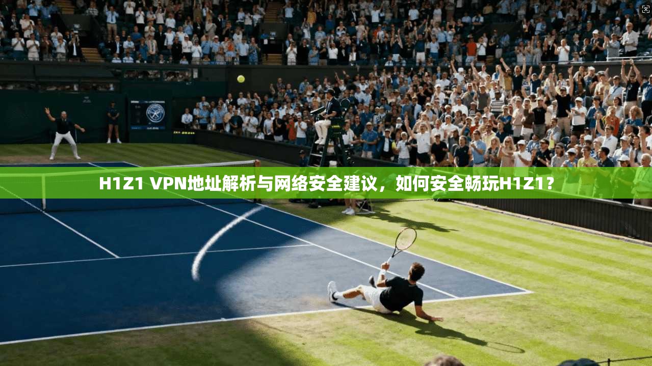 H1Z1 VPN地址解析与网络安全建议，如何安全畅玩H1Z1？