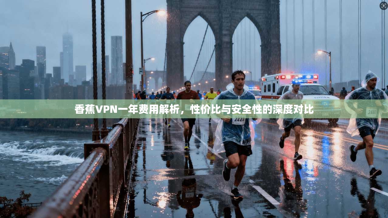 香蕉VPN一年费用解析，性价比与安全性的深度对比