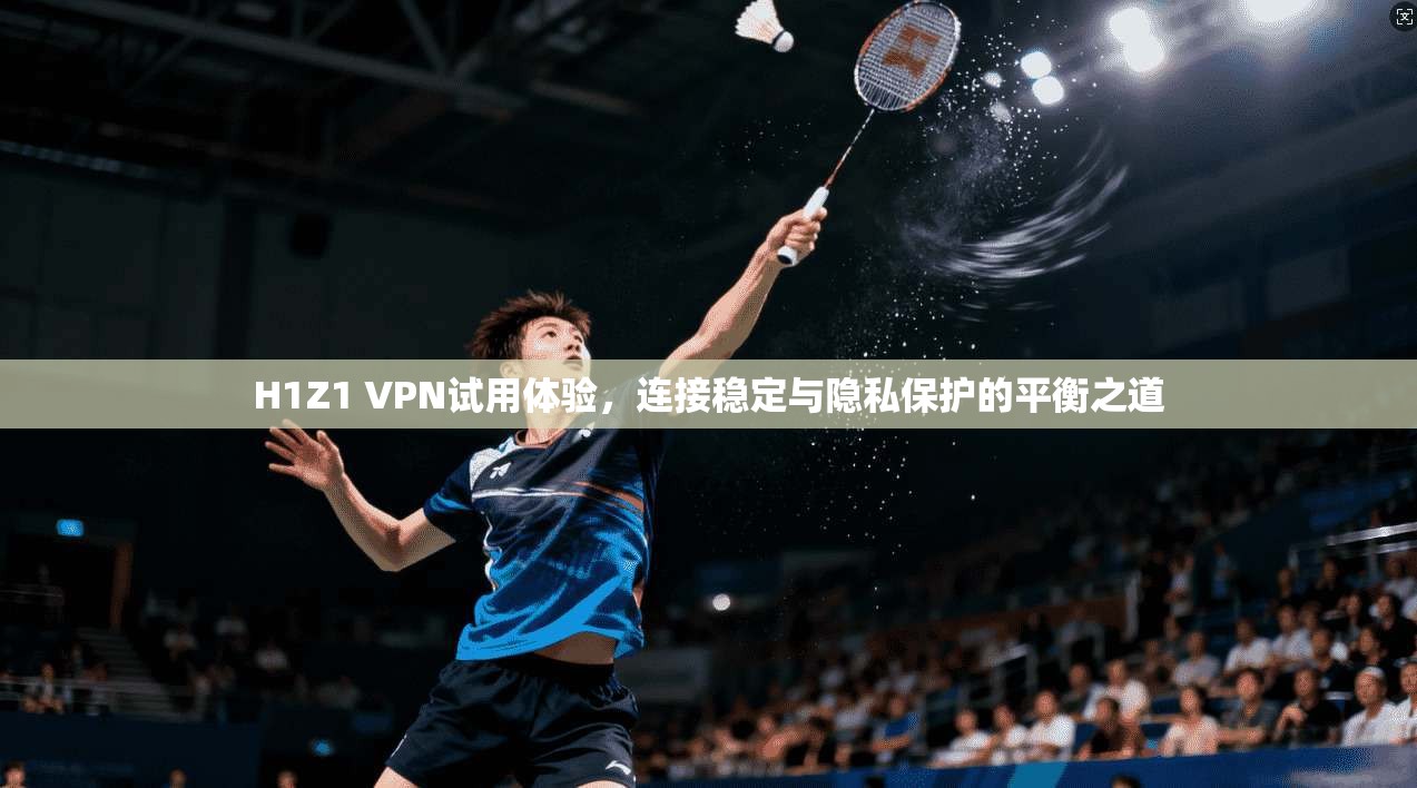 H1Z1 VPN试用体验，连接稳定与隐私保护的平衡之道