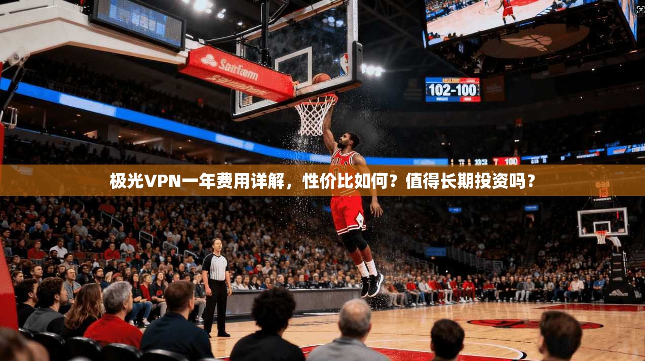 极光VPN一年费用详解，性价比如何？值得长期投资吗？