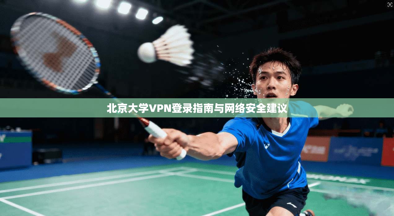 北京大学VPN登录指南与网络安全建议