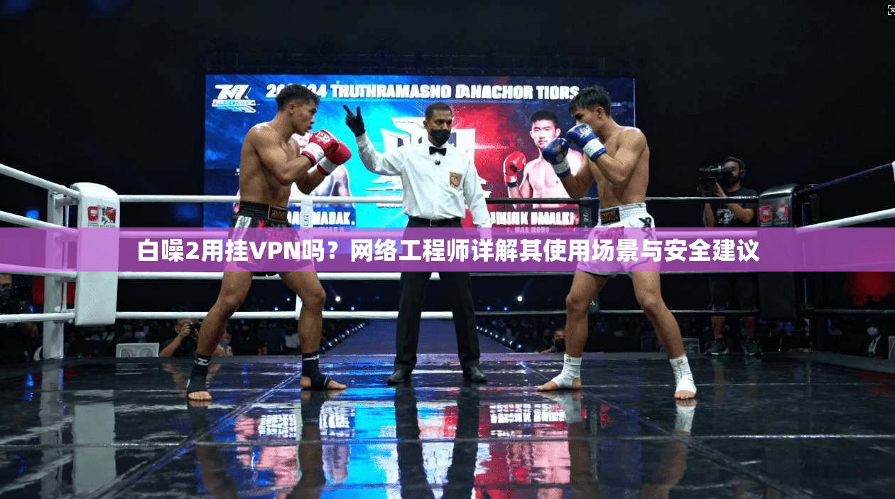 白噪2用挂VPN吗？网络工程师详解其使用场景与安全建议