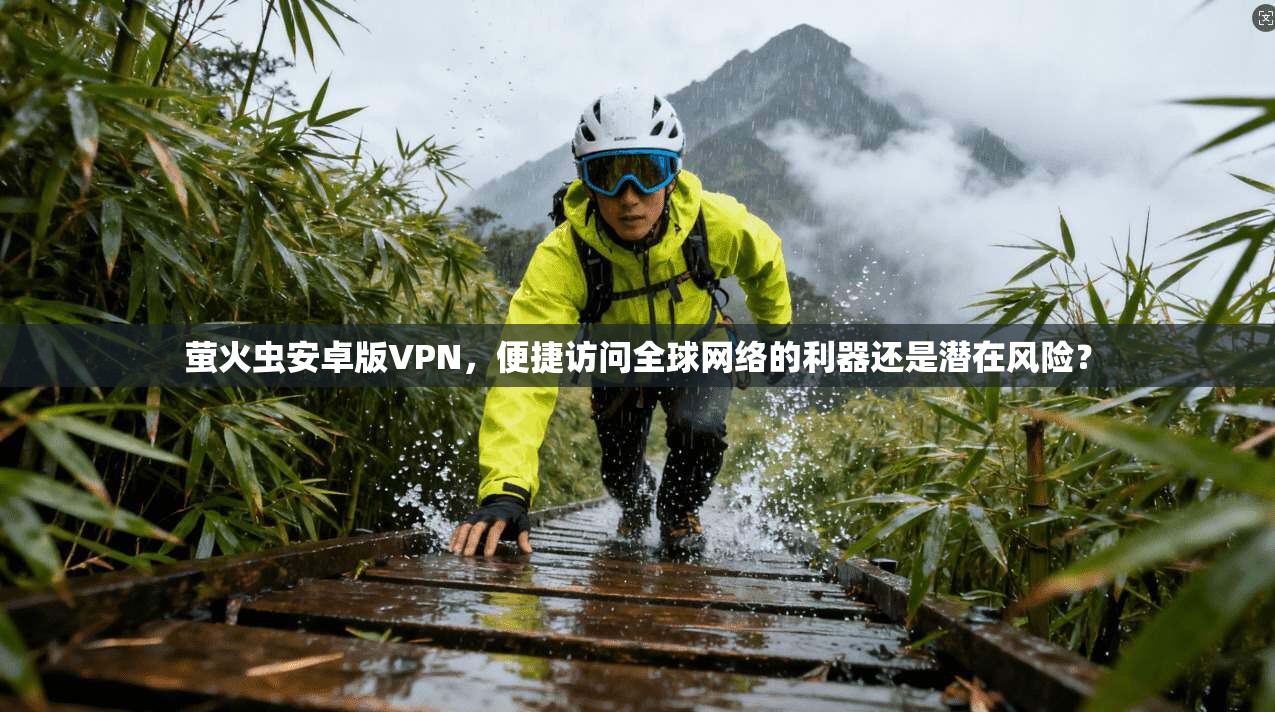 萤火虫安卓版VPN，便捷访问全球网络的利器还是潜在风险？
