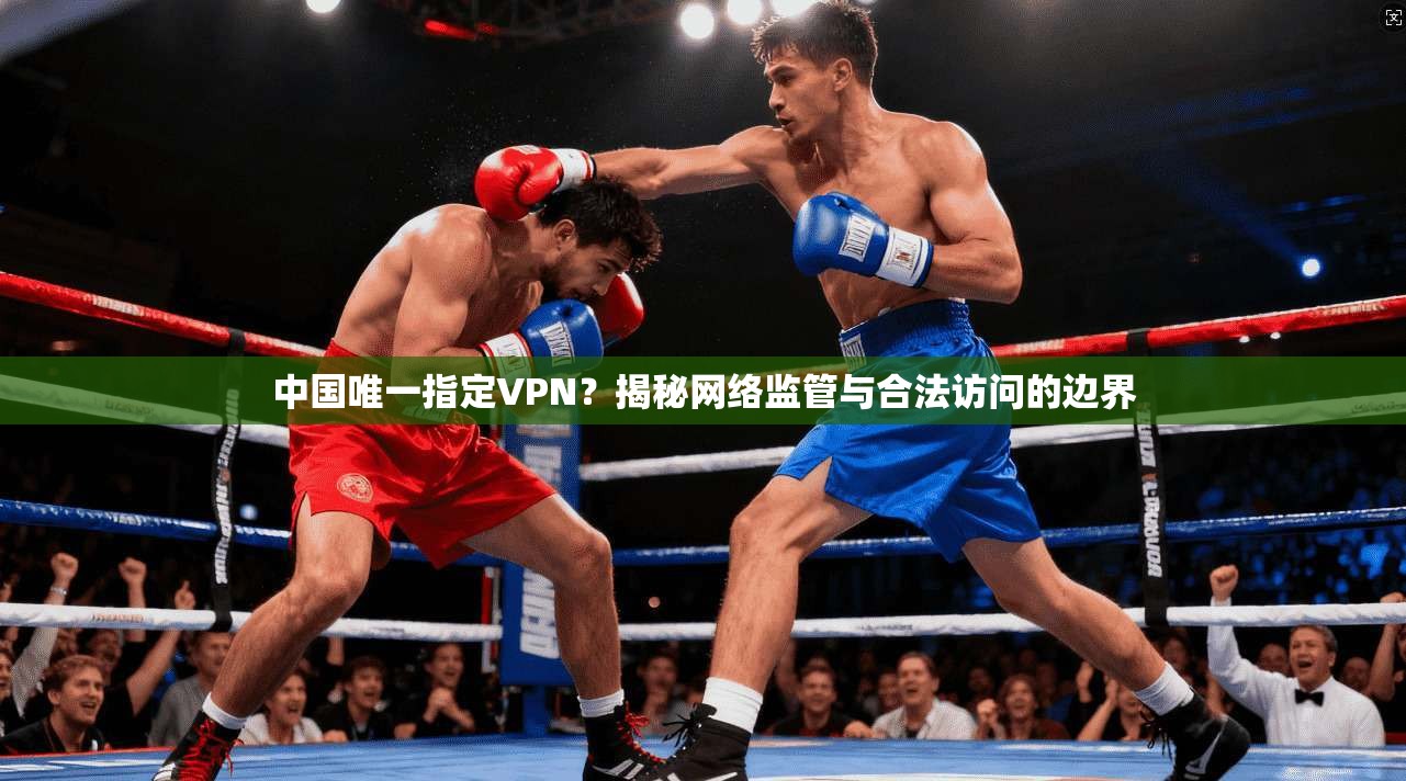 中国唯一指定VPN？揭秘网络监管与合法访问的边界