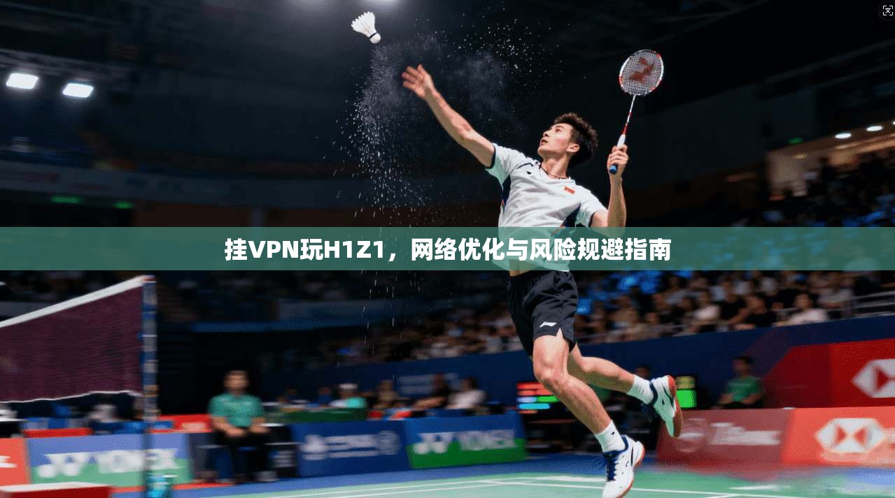 挂VPN玩H1Z1，网络优化与风险规避指南