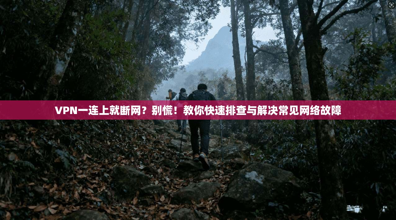 VPN一连上就断网？别慌！教你快速排查与解决常见网络故障