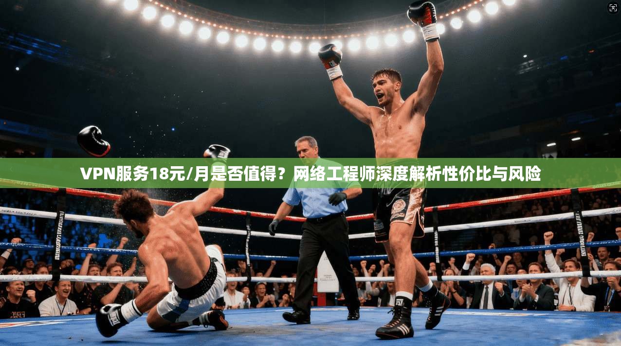 VPN服务18元/月是否值得？网络工程师深度解析性价比与风险