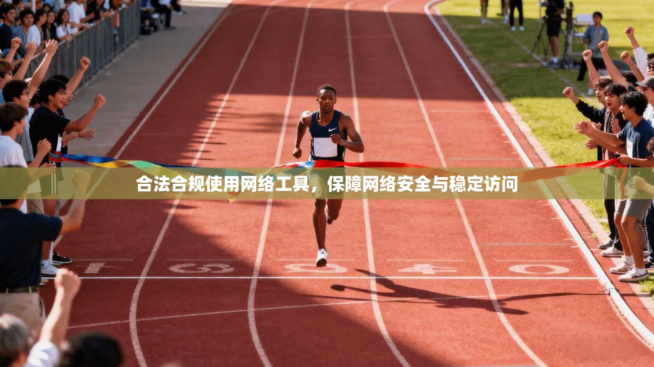 合法合规使用网络工具，保障网络安全与稳定访问