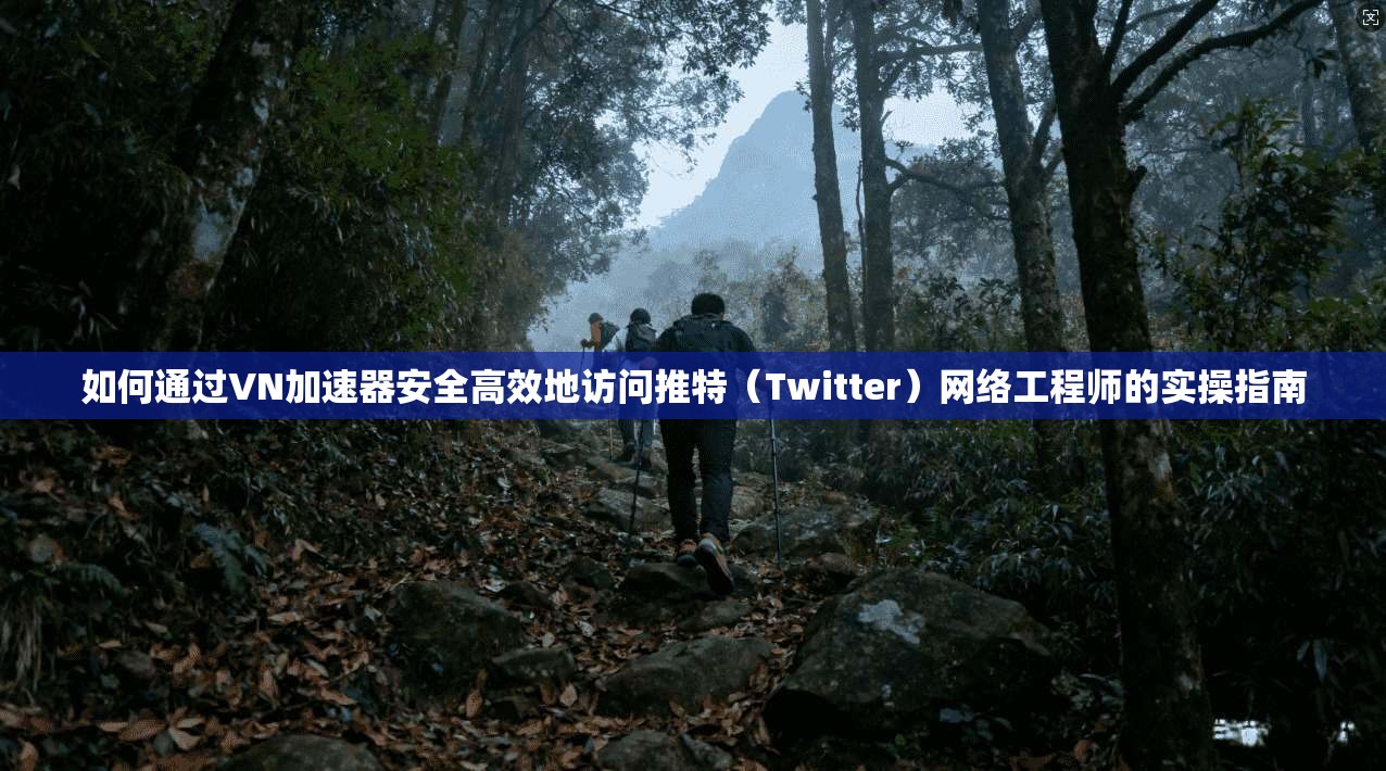 如何通过VN加速器安全高效地访问推特（Twitter）网络工程师的实操指南