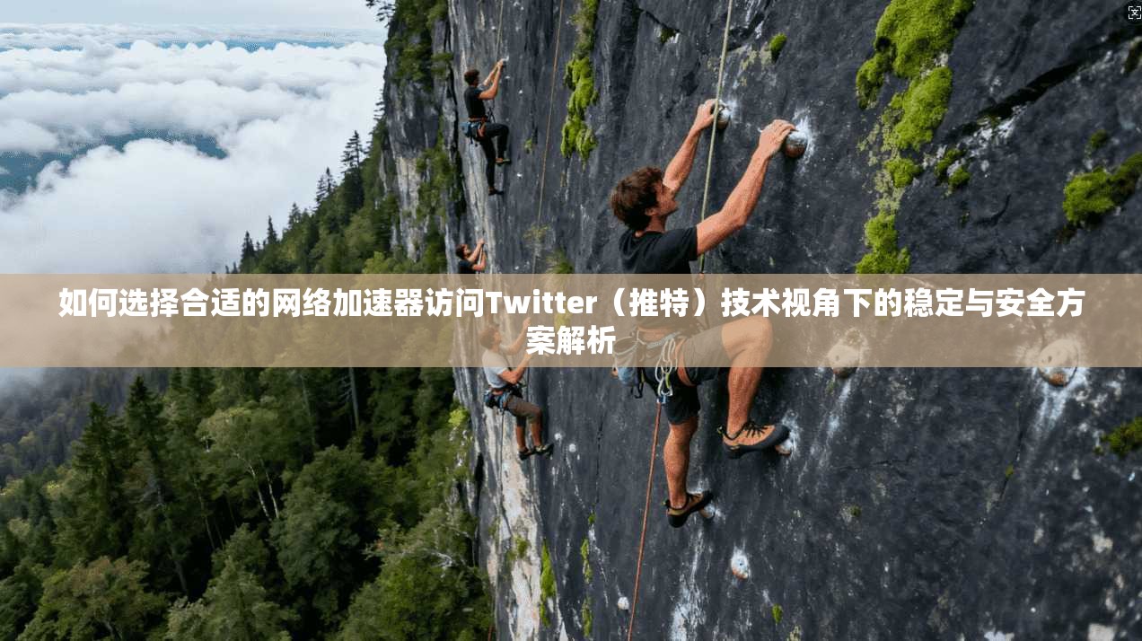 如何选择合适的网络加速器访问Twitter（推特）技术视角下的稳定与安全方案解析