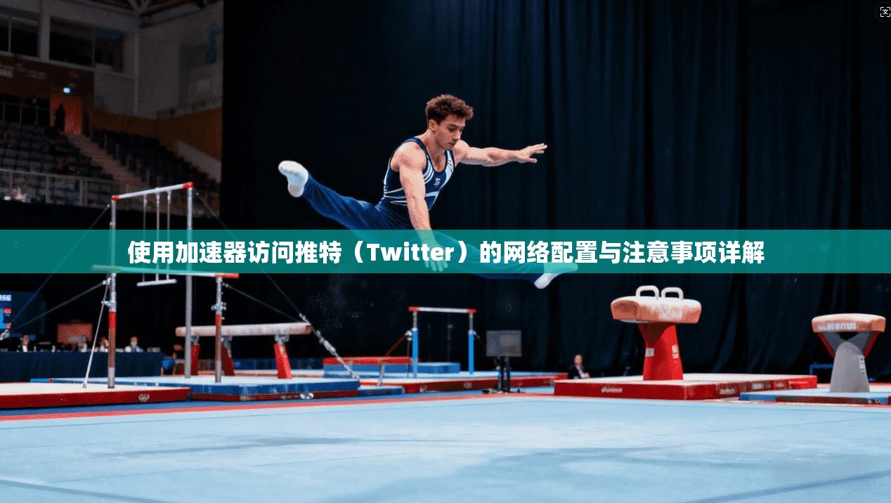使用加速器访问推特（Twitter）的网络配置与注意事项详解
