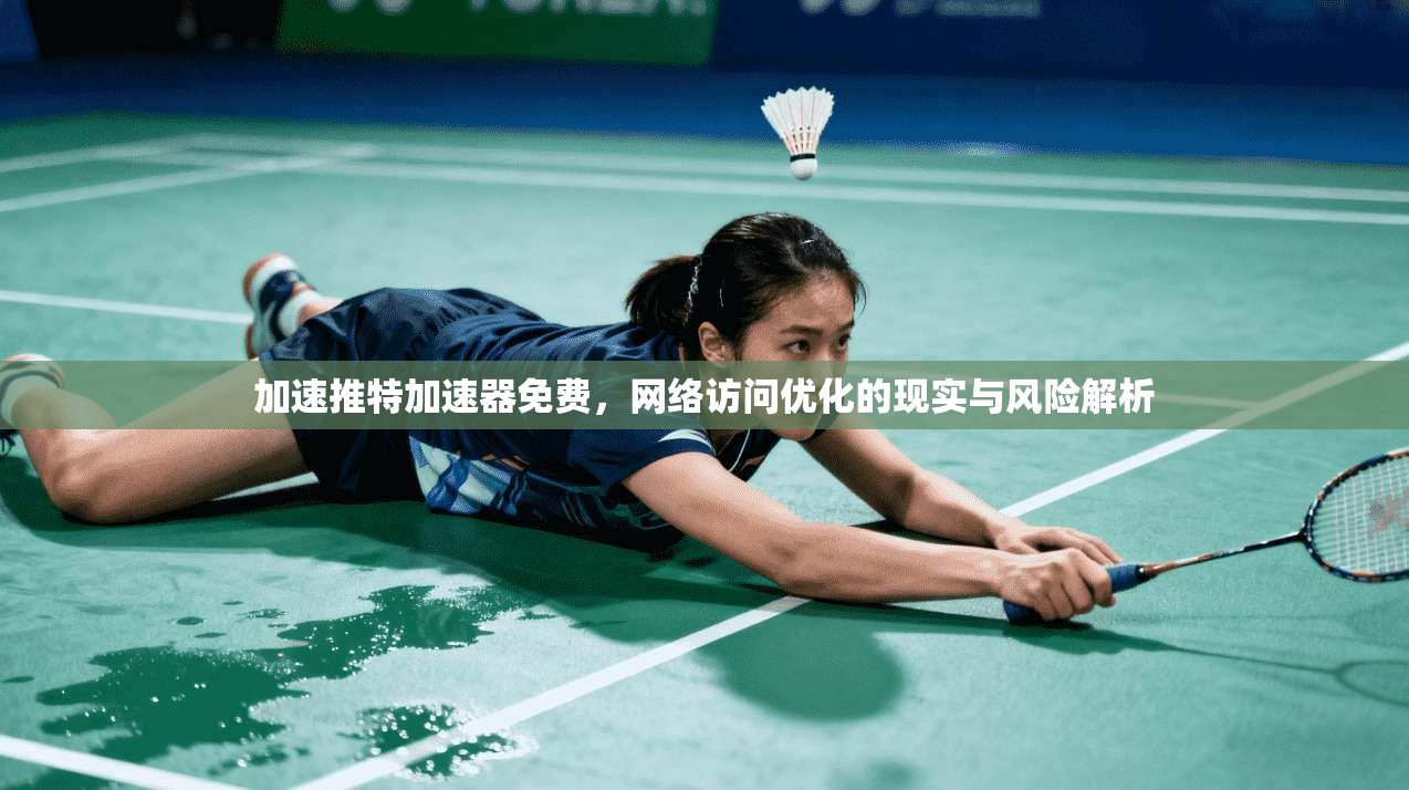 加速推特加速器免费，网络访问优化的现实与风险解析