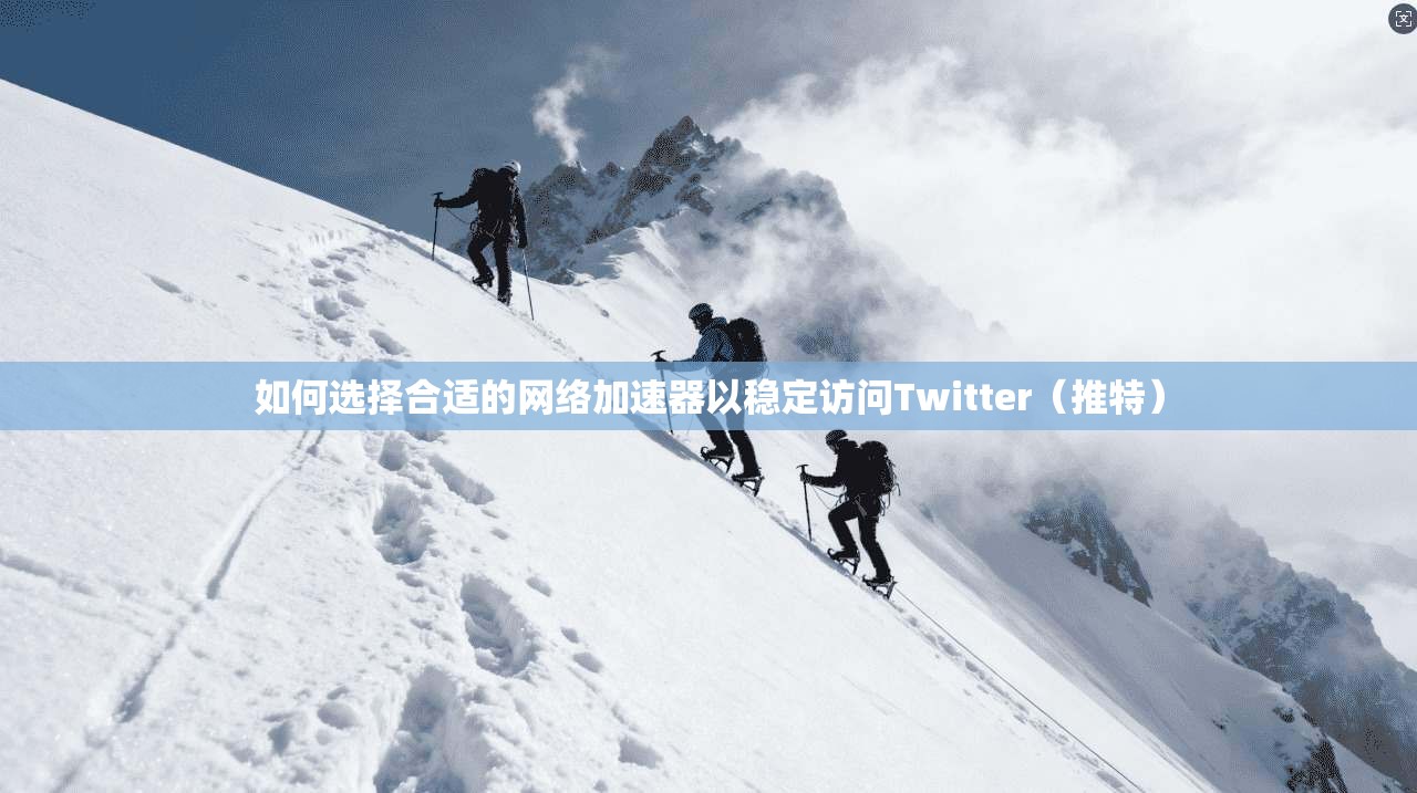 如何选择合适的网络加速器以稳定访问Twitter（推特）