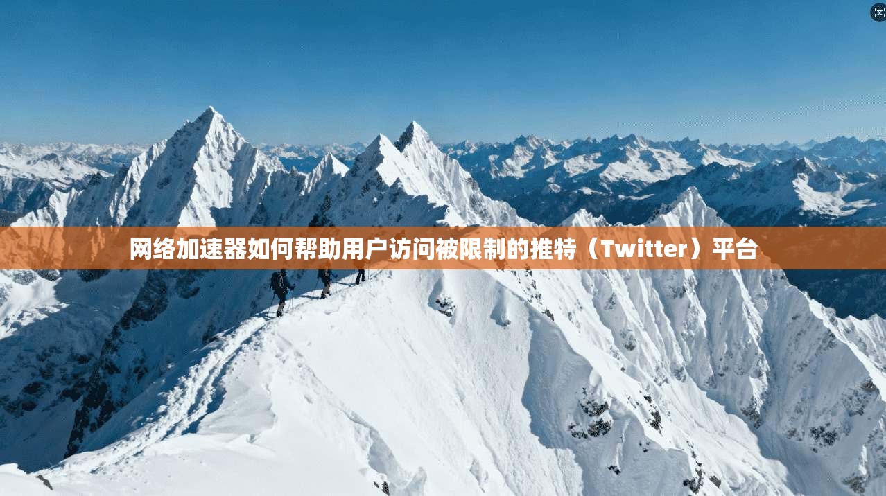 网络加速器如何帮助用户访问被限制的推特（Twitter）平台