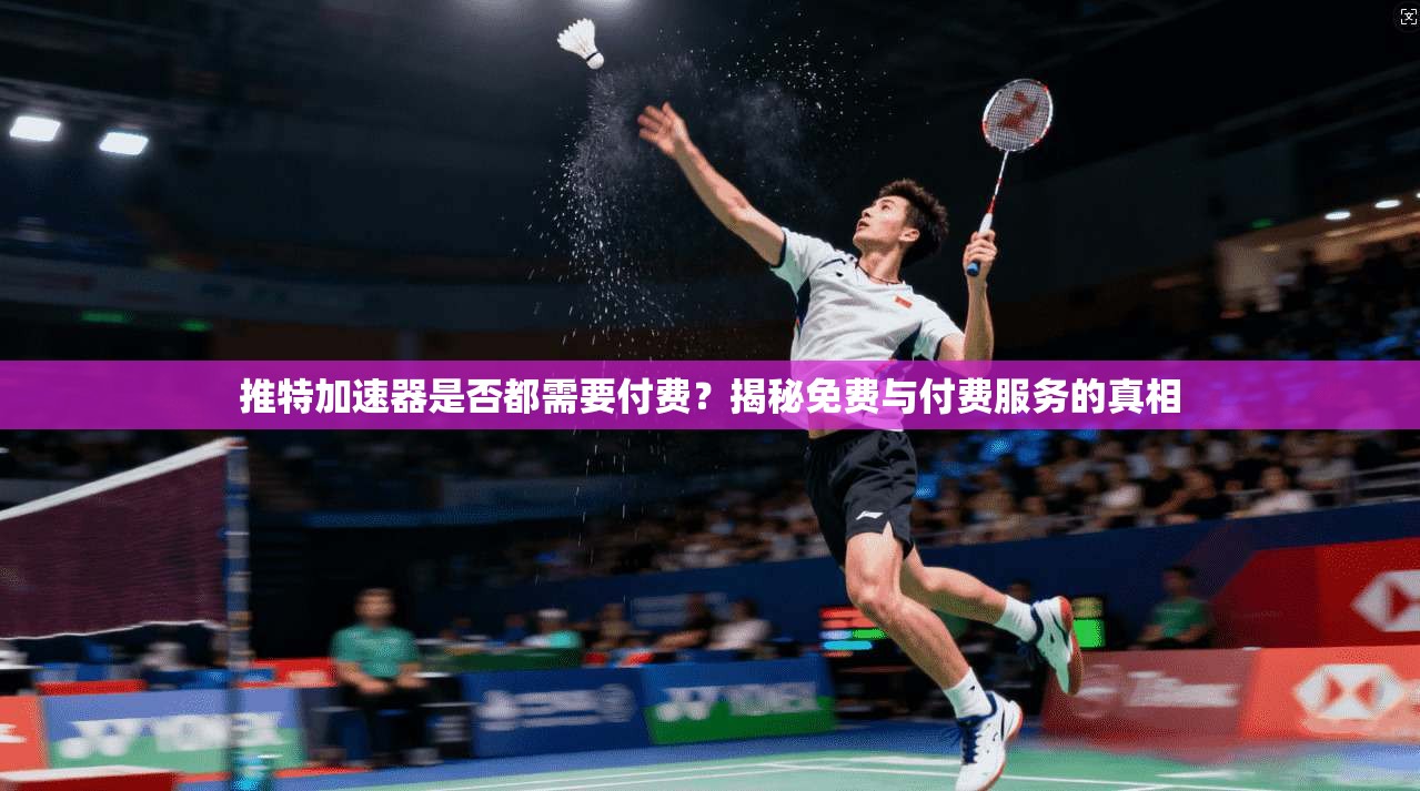 推特加速器是否都需要付费？揭秘免费与付费服务的真相