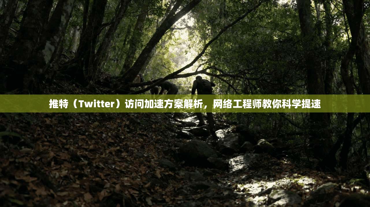 推特（Twitter）访问加速方案解析，网络工程师教你科学提速