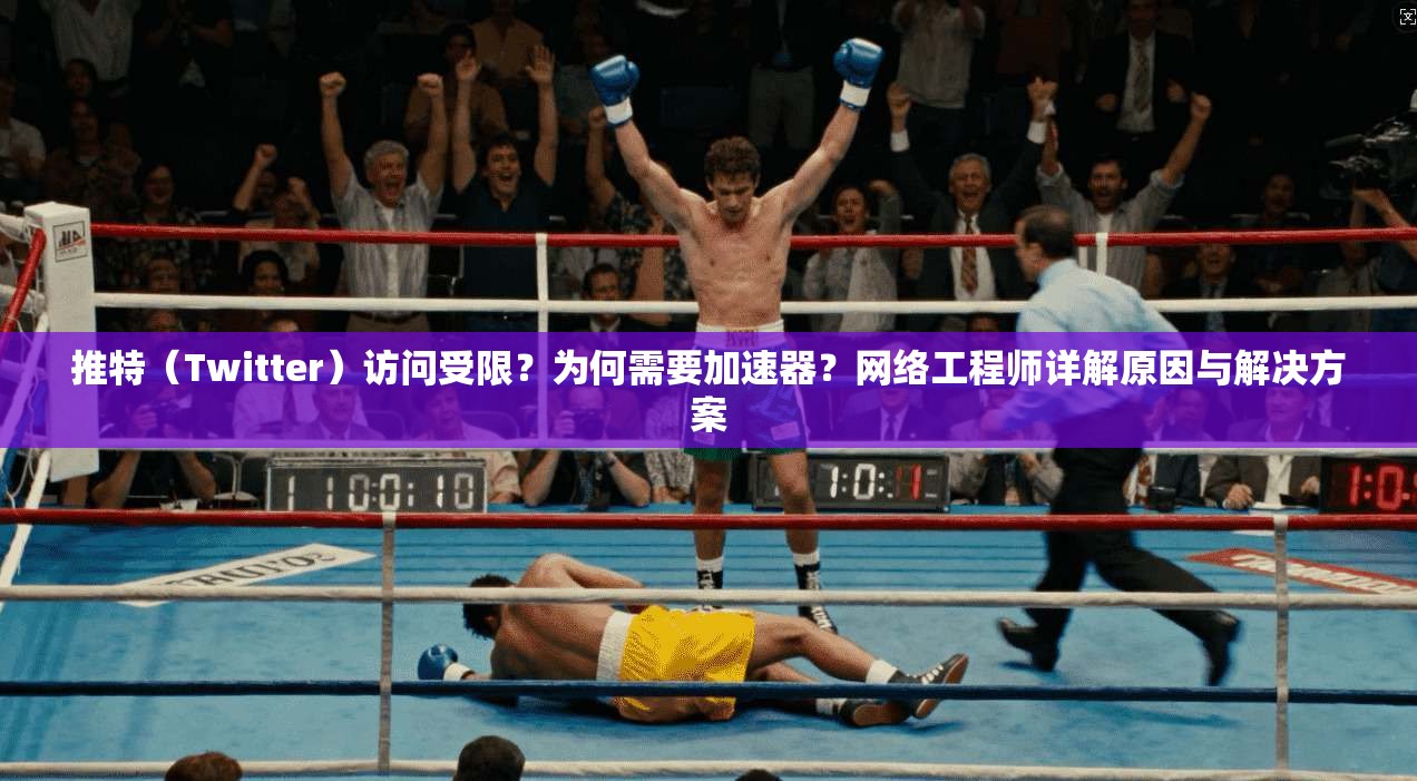 推特（Twitter）访问受限？为何需要加速器？网络工程师详解原因与解决方案