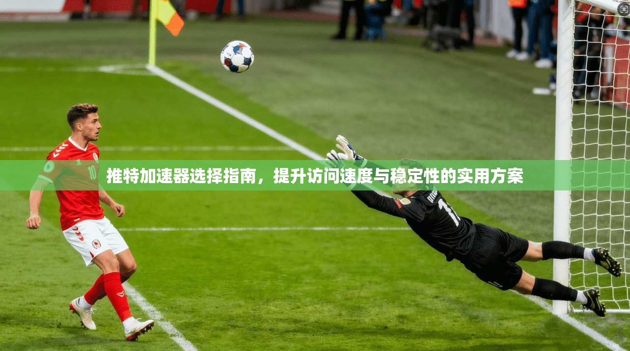 推特加速器选择指南，提升访问速度与稳定性的实用方案